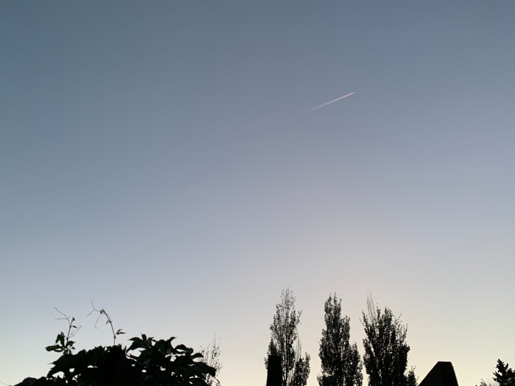 Back deck, Saskatoon