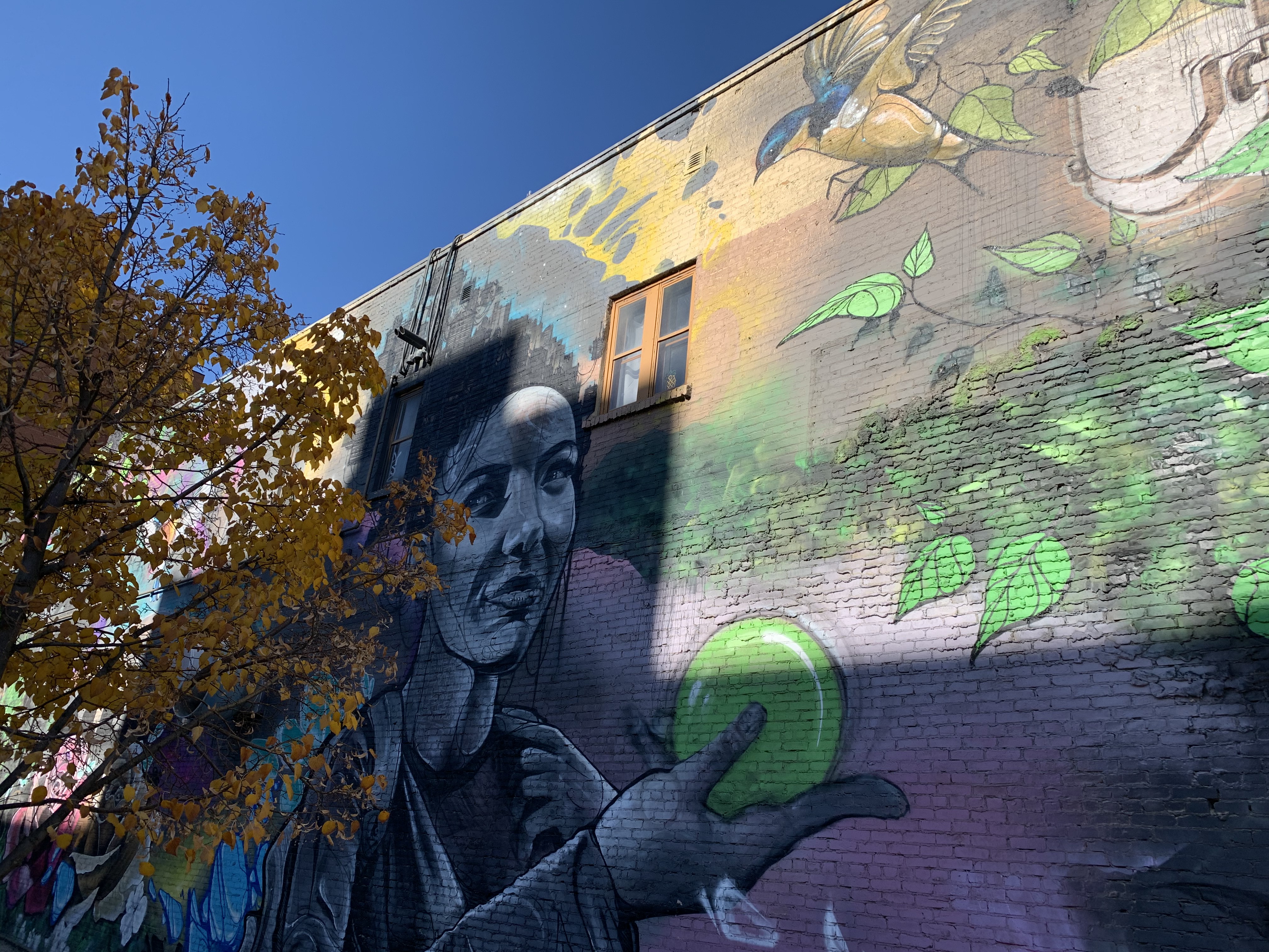 Downtown Saskatoon murals