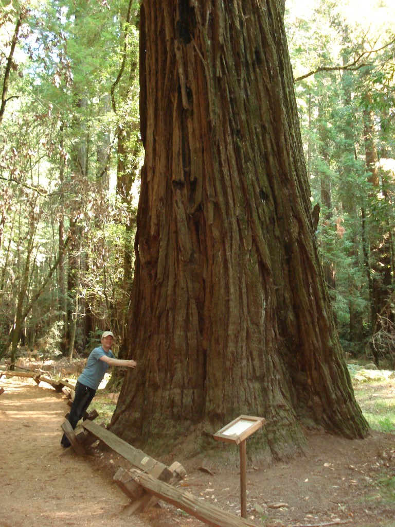 Armstrong Redwoods State Natural Reserve