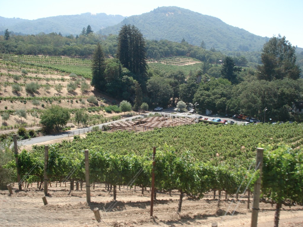 Benzinger Family Winery