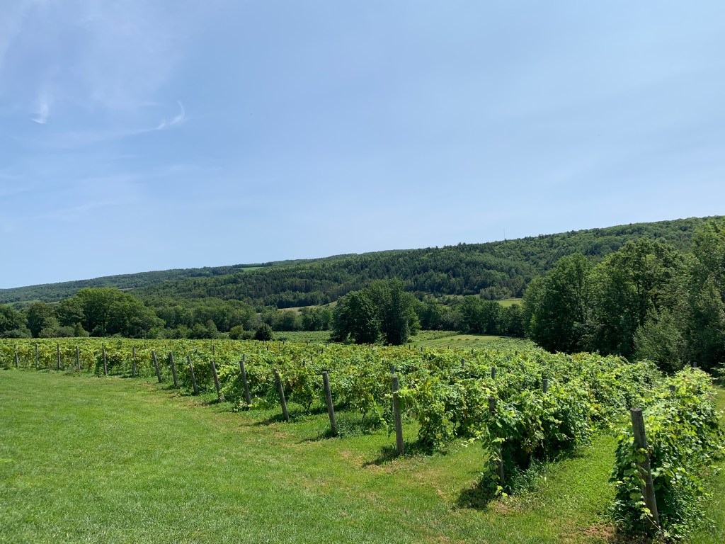 Benjamin Bridge winery