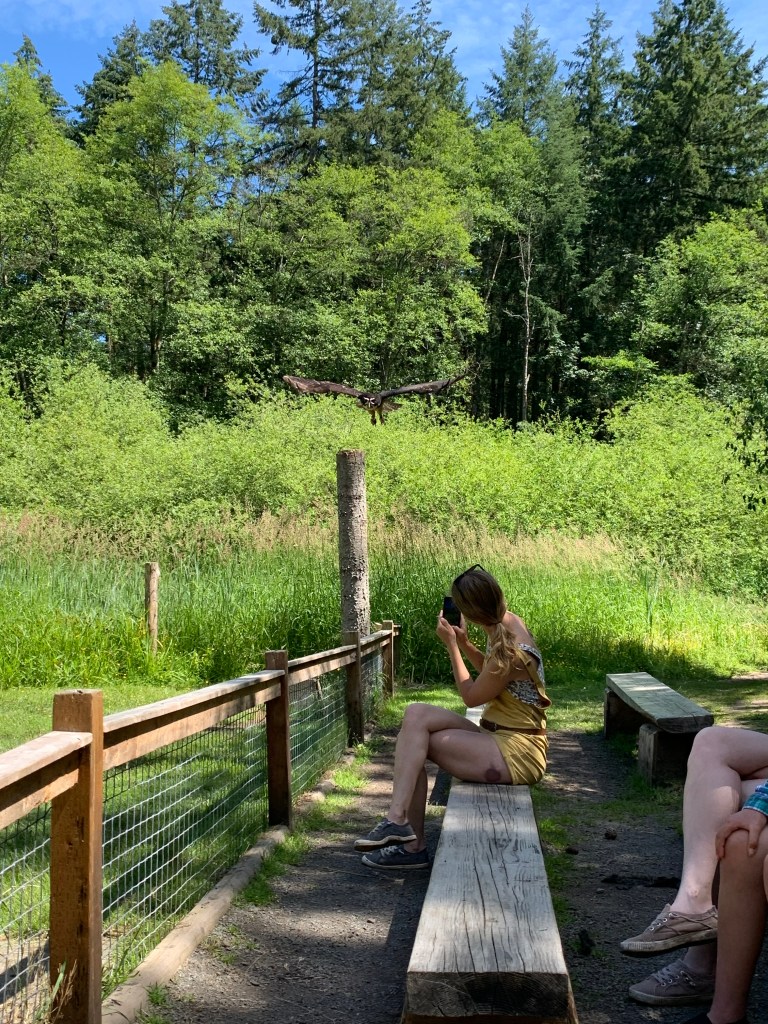 The Raptors, Duncan BC