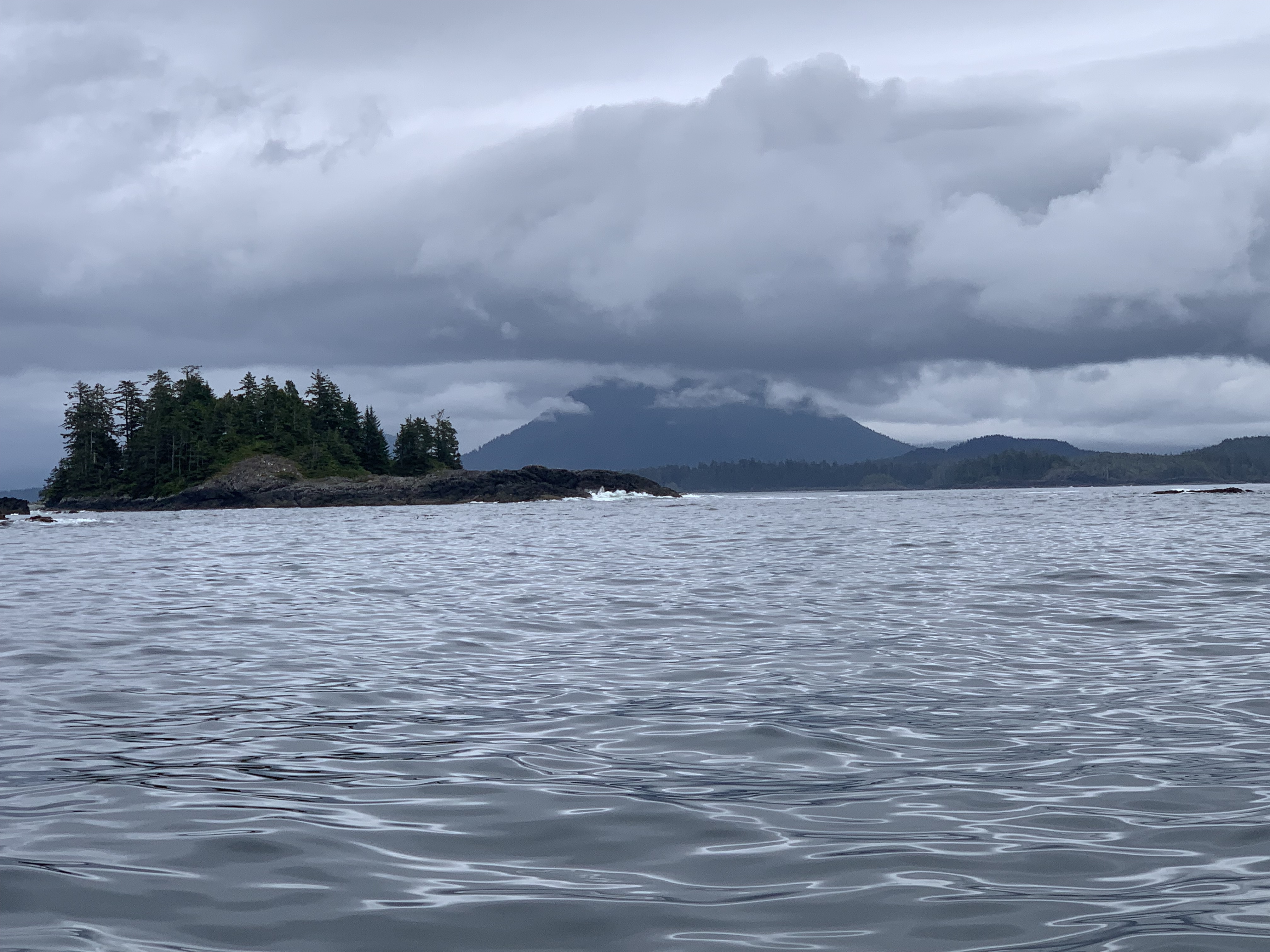 Whale watching around Tofino, BC