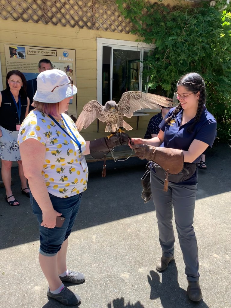 The Raptors, Duncan BC