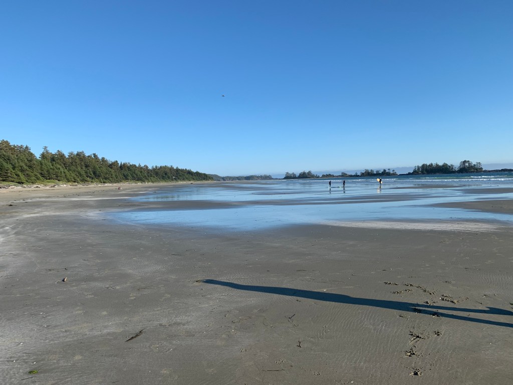 Chesterman Beach