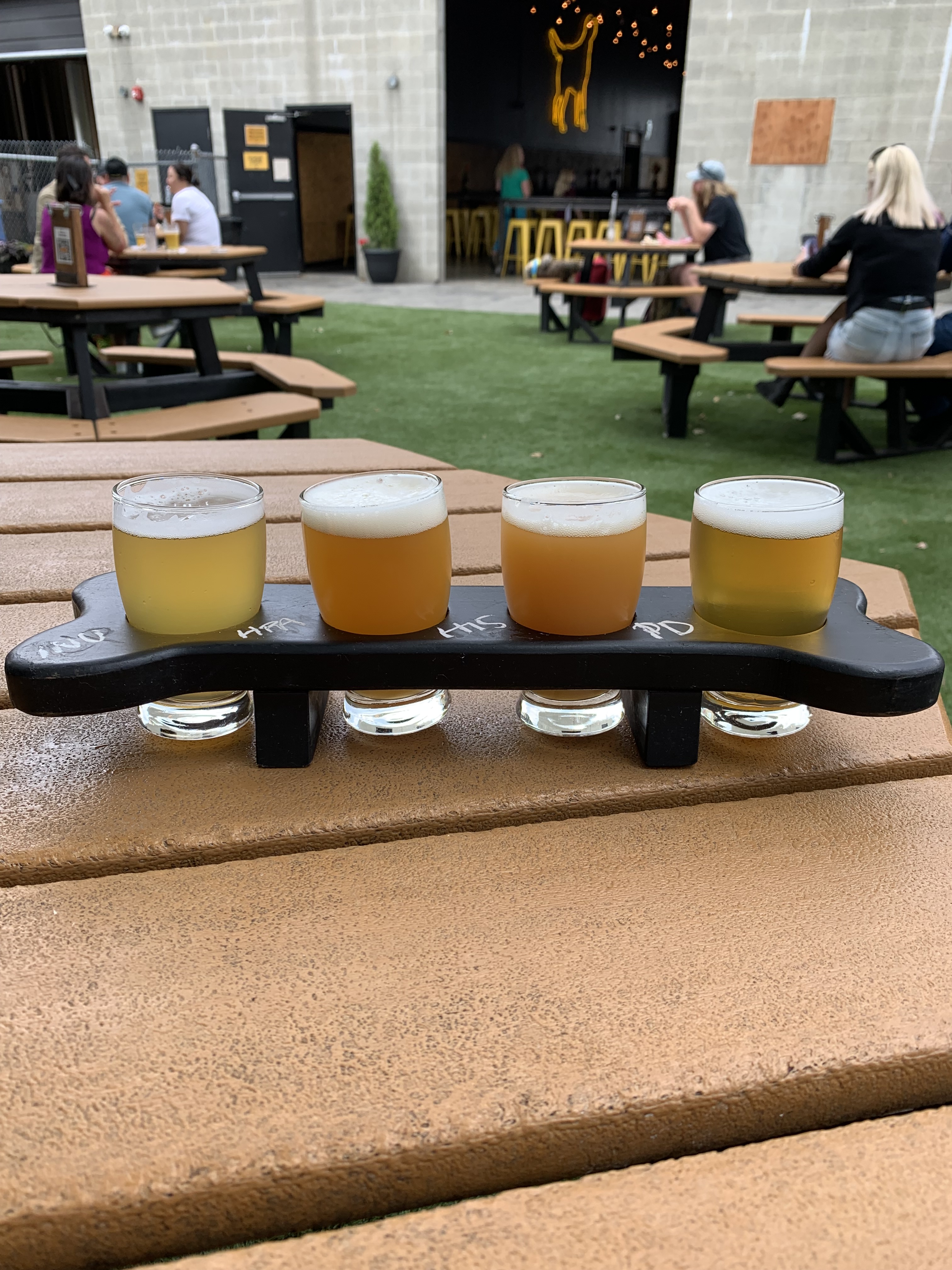 Yellow Dog Brewing Co.