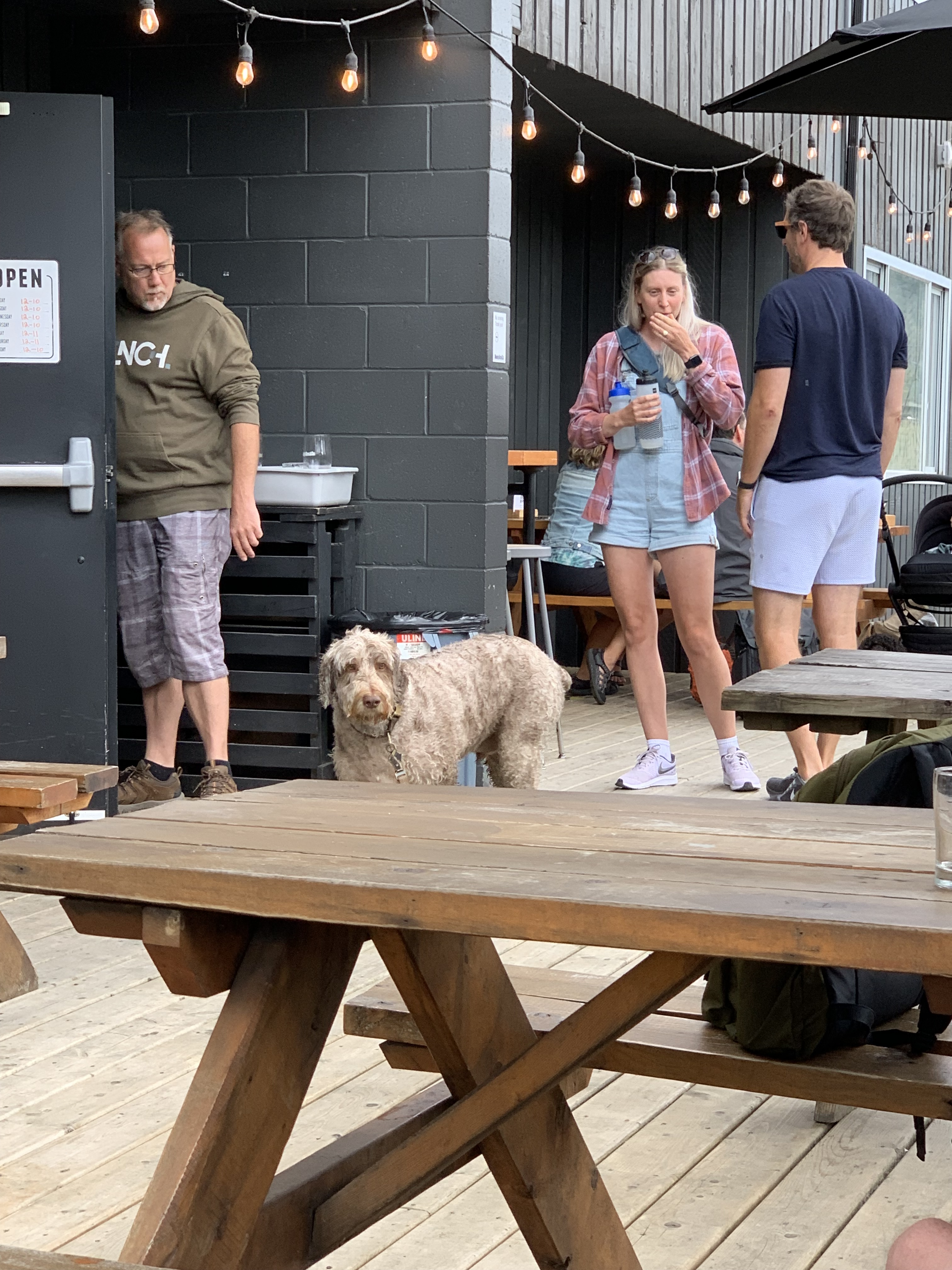 Dogs at craft breweries around Vancouver