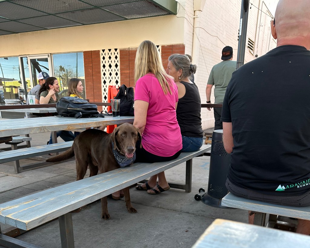 At Chupacabra Taproom