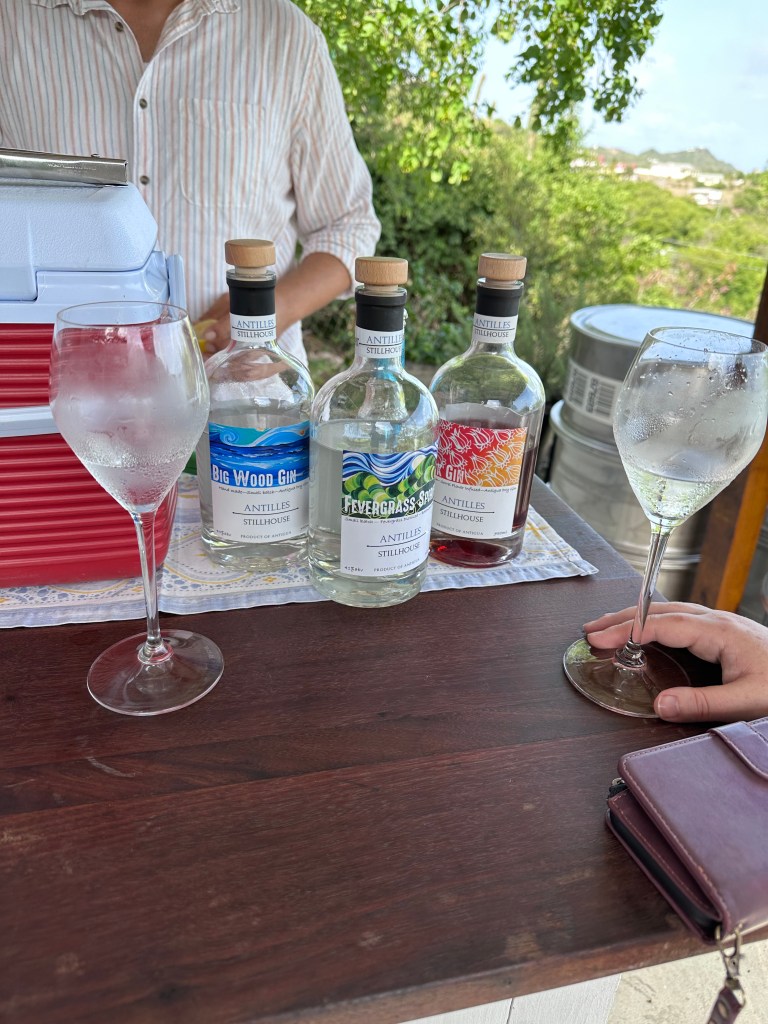 Gin tasting in Antigua