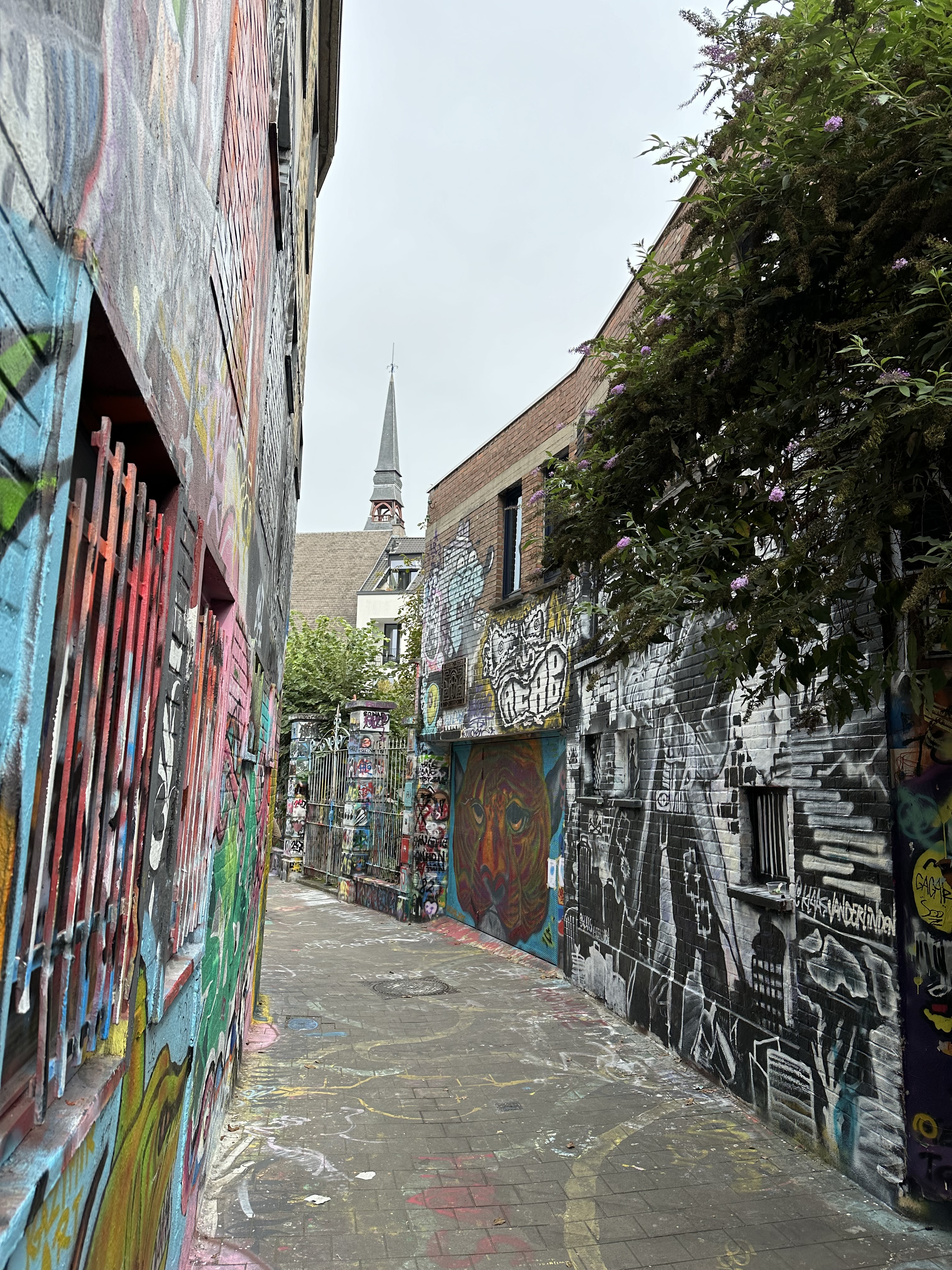 Graffiti along Werregarenstraat in Ghent