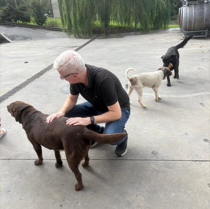 Winery dogs at Stroppiana winery