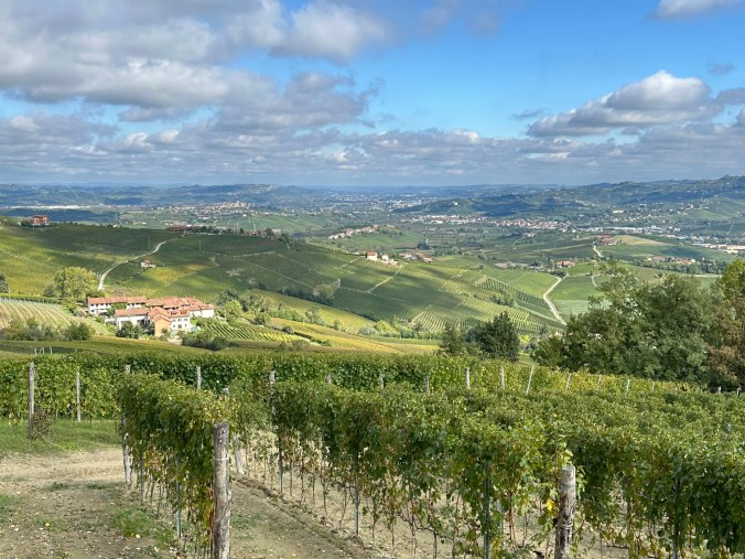Looking out over Barolo