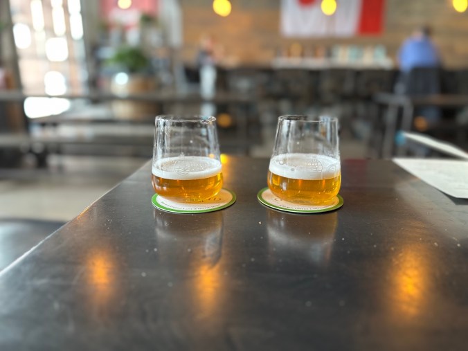 Sampling Czech-style beers at Godspeed Brewing in Toronto