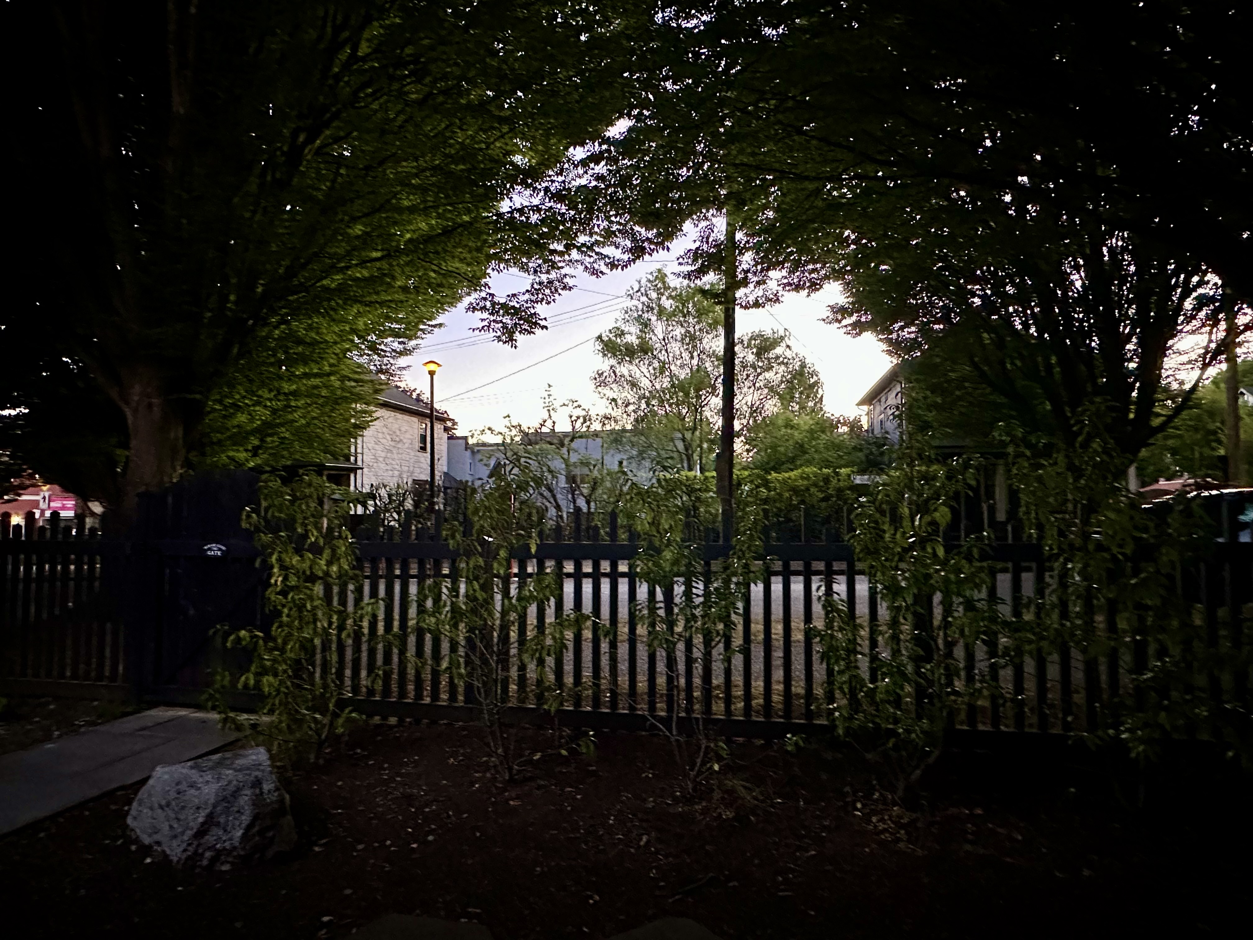 View from my Vancouver rental's front porch