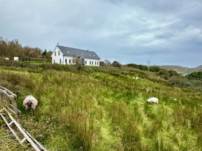 Our home away from home in Derrylahan, Ireland