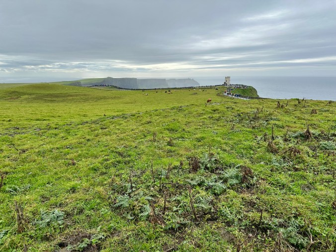 Cliffs of Moher